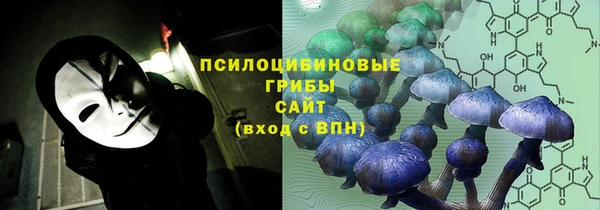 гидра Горнозаводск