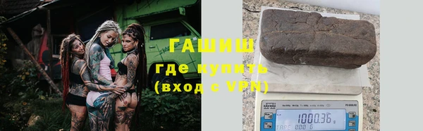 индика Горняк