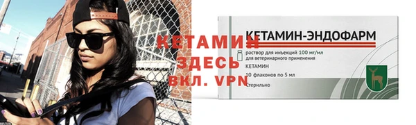 индика Горняк