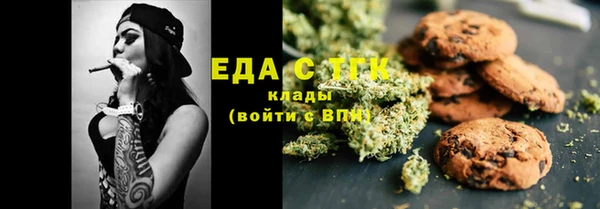 индика Горняк