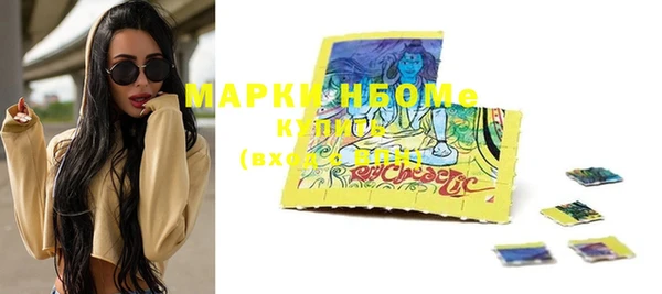 индика Горняк