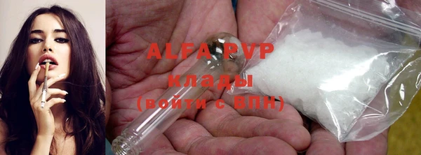 индика Горняк