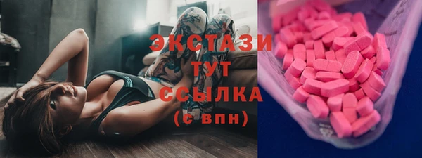гидра Горнозаводск