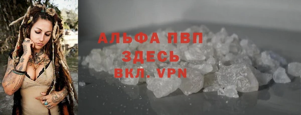 индика Горняк