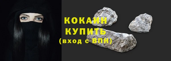 индика Горняк