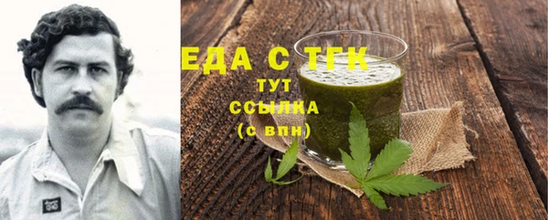гидра Горнозаводск