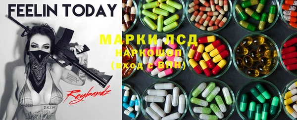 индика Горняк