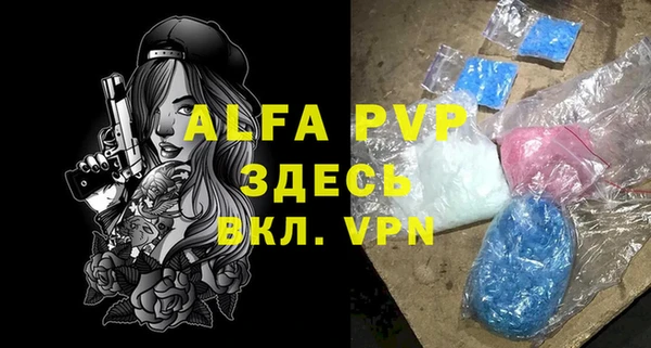 гидра Горнозаводск