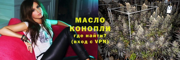 гидра Горнозаводск