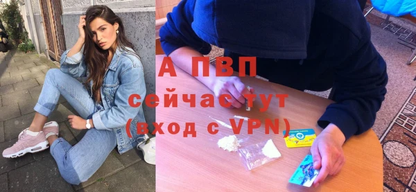 индика Горняк
