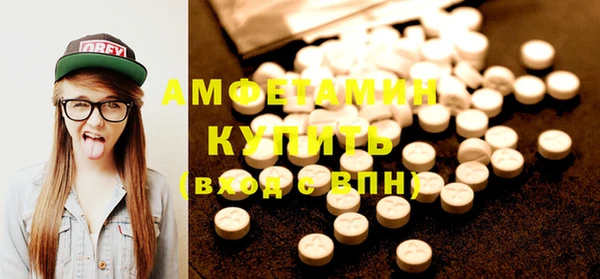 индика Горняк