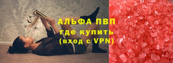 индика Горняк