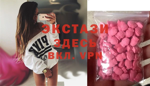 индика Горняк