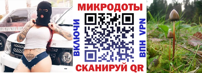 Галлюциногенные грибы GOLDEN TEACHER  Купить где  Почеп 